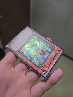 Naturia Rosewhip HA02-EN041 Super Rare - 1st Yugioh Very LP - Image 4