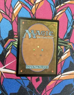 Bear Umbra Commander 2018 Regular - Image 2