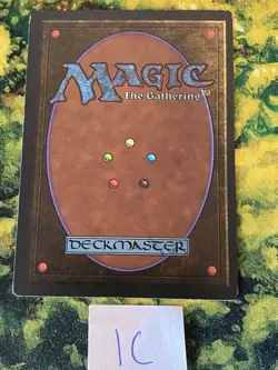 TUNDRA - REVISED - MTG MAGIC THE GATHERING LIGHT PLAY - Image 2