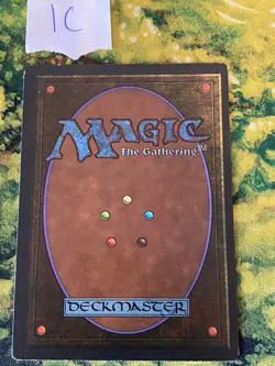 TUNDRA - REVISED - MTG MAGIC THE GATHERING LIGHT PLAY - Image 4