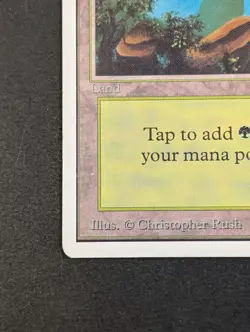 MTG - 1x Forest A - Unlimited (2nd) Edition LP - Vintage Magic The Gathering SGC - Image 3