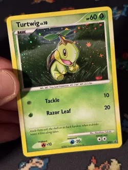 Pokemon Cards Turtwig DP01 Holo Black Star Promo - (LP) HOLO BLEED - Image 2