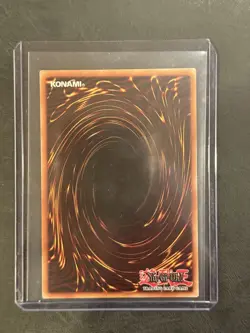 Yugioh! Ectoplasmic Fortification Maze of the Muertos MZMU-EN008 - Image 2