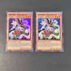 Yugioh - 2x Blackwing Steam the Cloak - DRLG-EN028 - NM - Super Rare - 1st 2014 - Image 2