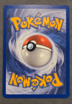 Poochyena EX Holon Phantoms 80 Reverse Holofoil Pokemon TCG STAMP - Image 2
