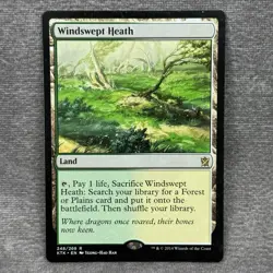 Magic The Gathering Khans of Tarkir Windswept Heath #248/269 MTG TCG CCG - Image 5