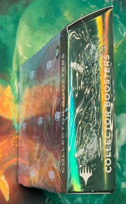 MTG Bloomburrow - Collector Booster Box | Sealed | BLB | Magic the Gathering - Image 2