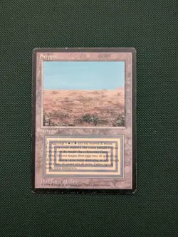 MTG Magic the Gathering Scrubland Italian Foreign Black Border FBB - Image 1