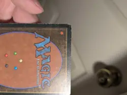 MTG Magic the Gathering Scrubland Italian Foreign Black Border FBB - Image 4