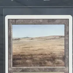 MTG Savanah Revised Edition - Great Condition - Image 3