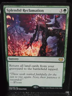 Splendid Reclamation (VOW) 221 Rare Magic: The Gathering NM - Image 1