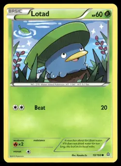 Lotad 10/160 Common Primal Clash Pokemon Near Mint - Image 1