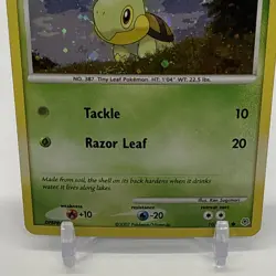 Turtwig 103/130 Diamond & Pearl Common Pokemon Holo MP - Image 3