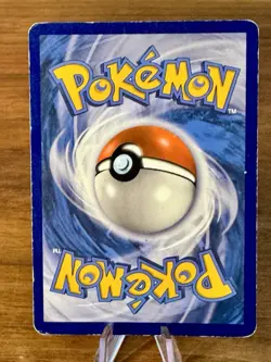 Morpeko SWSH031 SWSH: Sword & Shield Pokemon Card English Holo Black Star Promo - Image 2