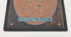 Core Set 2010 (M10) - Soul Warden (#34/249, LP) Common White Creature - Image 3