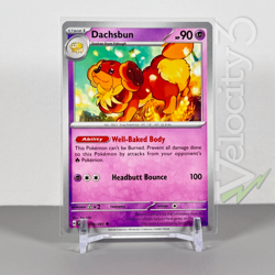 Pokemon TCG Card - Dachsbun 39/91 Uncommon | 2024 Paldean Fates | NM/Mint - Image 1