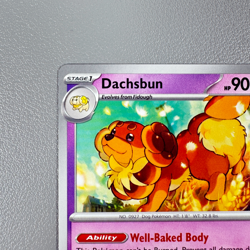 Pokemon TCG Card - Dachsbun 39/91 Uncommon | 2024 Paldean Fates | NM/Mint - Image 3