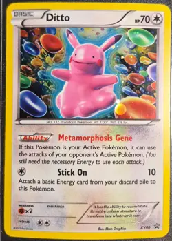 Ditto XY40 XY Promo Holo Basic 70 HP 2015 English Card - Image 1
