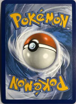 Galarian Rapidash V SWSH111 Holo Promo Sword & Shield Promo Pokemon Near Mint - Image 2