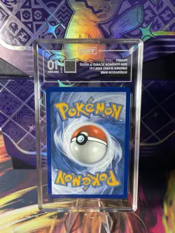 2024 Pokemon Phanpy Illustration Rare 205/191 Surging Sparks TAG 10 - Image 2