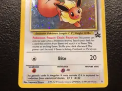 Pokemon Eevee Black Star Promo 11/53 WOTC Vintage 2000 - Image 5