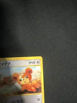 Teddiursa 066/088 Mysterious Mountains (Japanese Skyridge) Pokemon TCG MP - Image 4