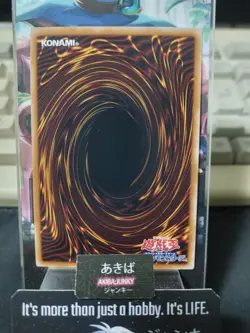Toon Dark Magician Girl Yu-Gi-Oh QCLP-JP010 Secret Rare Yugioh JAPAN - Image 3