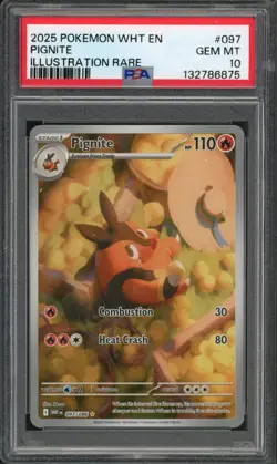 Pokemon PSA 10 Gem Mint White Flare Illustration Rare Pignite 097/086 - Image 1