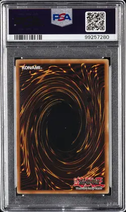 2006 YU-GI-OH! POTD-POWER OF THE DUELIST #EN033 ELEMENTAL HERO DARK NEOS PSA 8 - Image 2