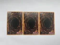 YuGiOh - 3x DOOD-EN005 Twilight Rose Black Knight - Common - Mint - Image 2