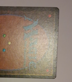 The Lady of the Mountain MP Legends MTG Magic the Gathering - Image 5