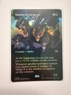 Warden of the Grove (Borderless) (FOIL) ✅Tarkir Dragonstorm ✅ Magic (mtg) - Image 1