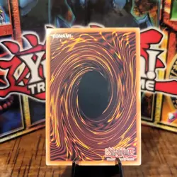 Yu-Gi-Oh! Blackwing - Elphin the Raven LIMITED Secret Rare CT06-ENS01 Near Mint - Image 2