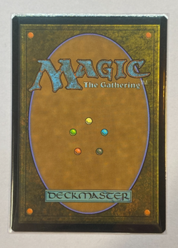 MTG - Innistrad: Crimson Vow - Hallowed Haunting - Extended Art - NM - Image 2