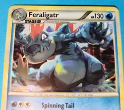 Pokemon TCG Feraligatr Heartgold & Soulsilver 20/123 Holo Promo Cracked Ice LP - Image 4