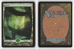 Forest (246) - Full Art 246 Land Zendikar Magic: The Gathering Near Mint - Image 3