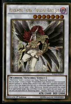 Blackwing Tamer - Obsidian Hawk Joe PGL2-EN012 Yu-Gi-Oh 1st Edition NM - Image 1