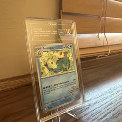 Pokemon Feraligatr #213 2024 Illustration Contest Black Star Promo TCG TAG 10 - Image 5
