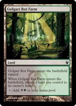 4 x Golgari Rot Farm - Duel Decks: Izzet vs Golgari - Light Play - MTG - Image 1