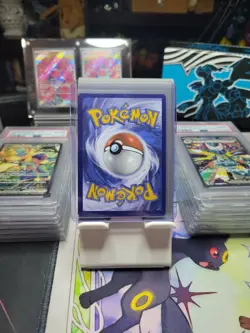 Tornadus 2025 Pokemon White Flare #210 Black Star Promo Holo Sealed - Image 2