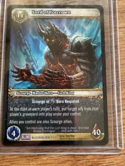 Lord of Ice Crown World of Warcraft TCG Promo 2010 Blizzard Exclusive - Image 2