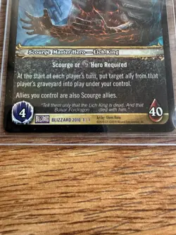Lord of Ice Crown World of Warcraft TCG Promo 2010 Blizzard Exclusive - Image 5