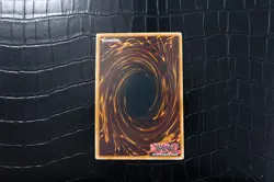 Warm Worm (5D's Tag Force 4) TF04-EN001 Yu-Gi-Oh! - Image 2