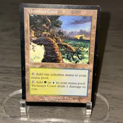 Yavimaya Coast 143/143 Apocalypse Magic the Gathering MTG LP (C) - Image 1