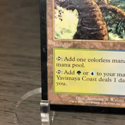 Yavimaya Coast 143/143 Apocalypse Magic the Gathering MTG LP (C) - Image 3