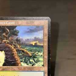 Yavimaya Coast 143/143 Apocalypse Magic the Gathering MTG LP (C) - Image 5