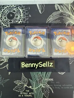 Pokemon TCG First Partner Illustration Collection Series 1 Kanto GEN 1 Starters - Image 2