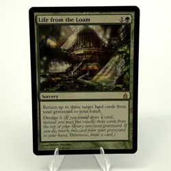 Magic The Gathering Ravnica: City of Guilds Life from the Loam Regular LP - Image 1