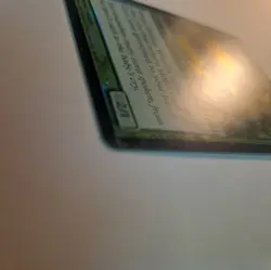 MTG FOIL Eternal Witness Fifth Dawn Magic the Gathering - Image 3