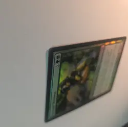 MTG FOIL Eternal Witness Fifth Dawn Magic the Gathering - Image 4